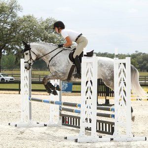 Meet your Posher, Nora